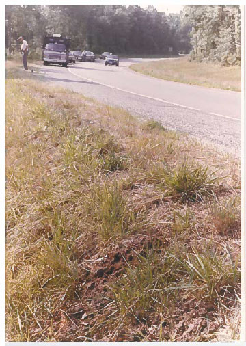 Crime scene - Joseph Alex Ray
