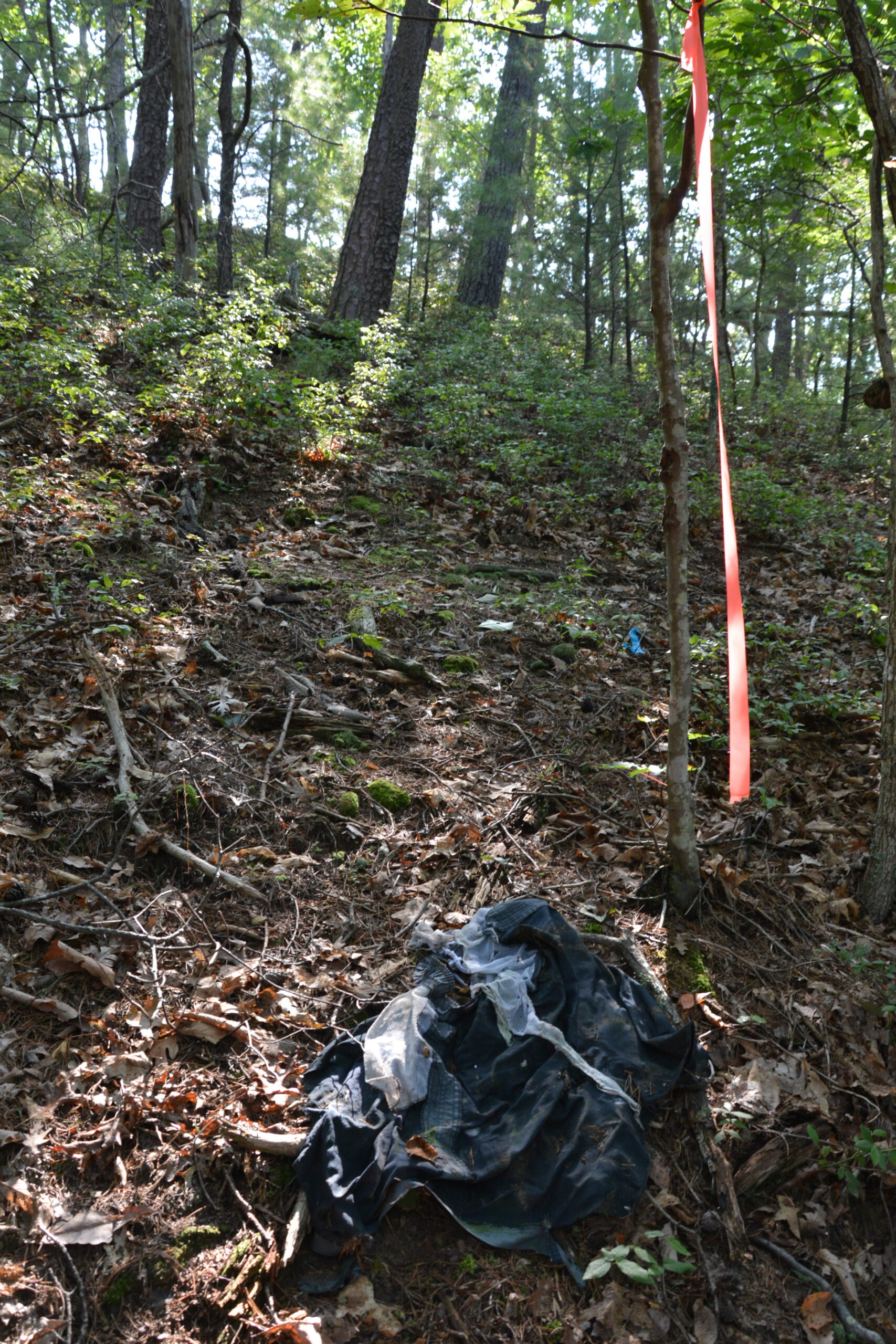 Location - unidentified remains